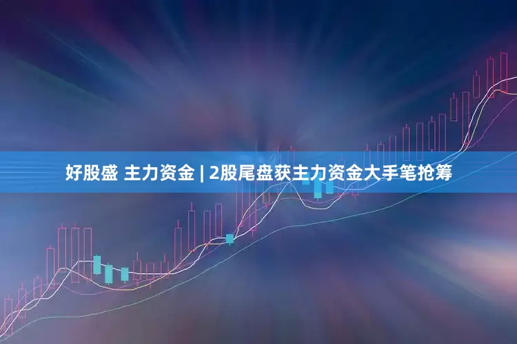 好股盛 主力资金 | 2股尾盘获主力资金大手笔抢筹