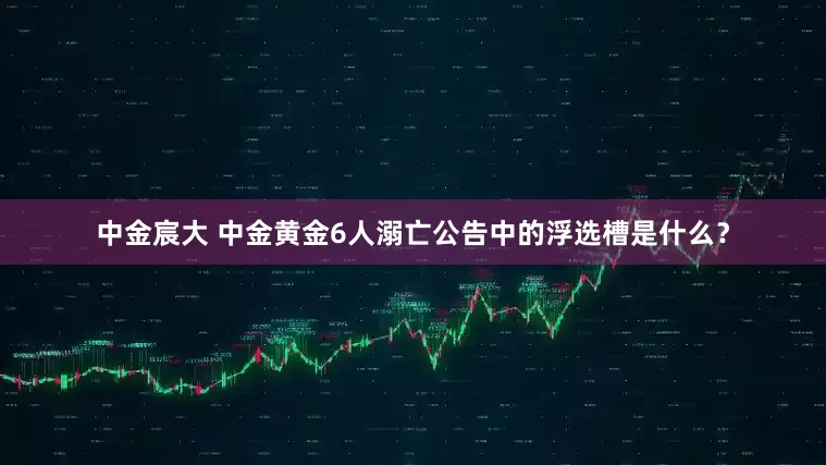 中金宸大 中金黄金6人溺亡公告中的浮选槽是什么？