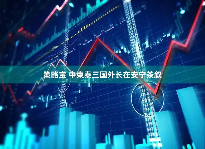 策略宝 中柬泰三国外长在安宁茶叙