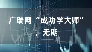 广瑞网 “成功学大师”,无期
