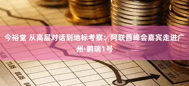 今裕堂 从高层对话到地标考察:阿联酋峰会嘉宾走进广州·鹏瑞1号